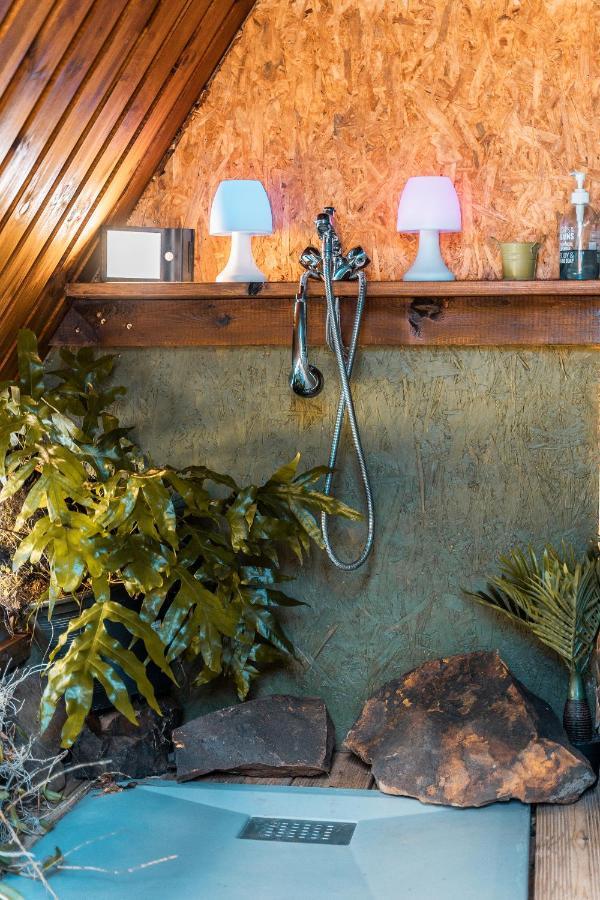 Charmant Chalet Avec Jacuzzi, L'Ile O Vert سانت فيليب المظهر الخارجي الصورة